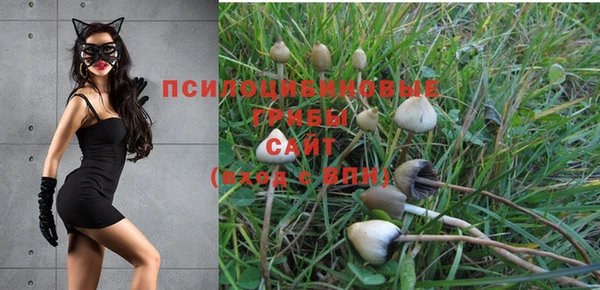 кристаллы Алексеевка