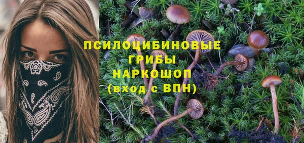 кристаллы Алексеевка